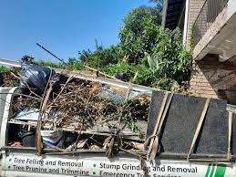 Best Demolition Debris Removal in Baird, TX